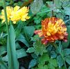IMG_20160423_221145