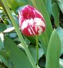 IMG_20160423_221220