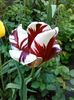 IMG_20160423_184117