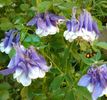 IMG_20160423_221304