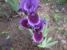 DSCF8122
