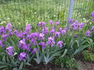 DSCF8127