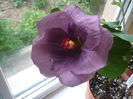 P1250986