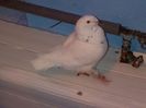 IMG-20160424-00971