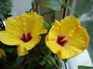 DSC05150