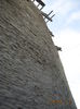 Picture 5886
