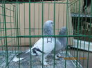 IMG_1160[1]