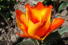 DSC09969