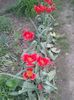 20160423_193749