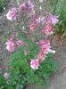 20160423_193625