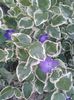 20160423_193700