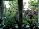 DSCN5271