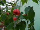 DSCN5273