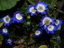 DSCN5276