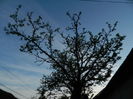 DSCN5283