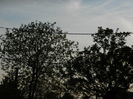 DSCN5296