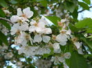DSCN5299