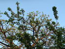 DSCN5301