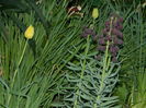 DSCN5309