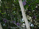 DSCN5313