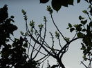 DSCN5314