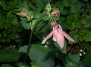 DSCN5331