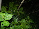 DSCN5402