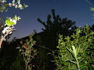 DSCN5403