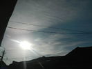 DSCN5446