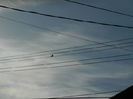 DSCN5448