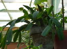 DSCN5457