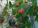 DSCN5459