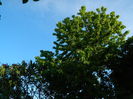 DSCN5462