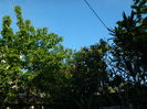 DSCN5463
