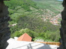 Picture 5893