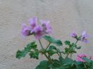 20160418_200802