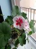 20160419_182040