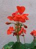 20160425_182921