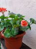 20160425_183019