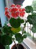 20160425_192547
