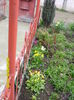 SAM_0567