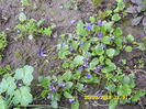 SAM_0573