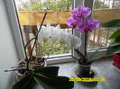 SAM_0585