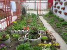 SAM_0588