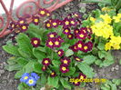 SAM_0595