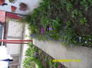 SAM_0599
