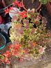 IMG_20160408_081114