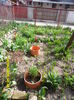 SAM_0608
