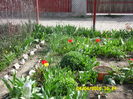 SAM_0609