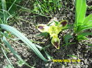 SAM_0610